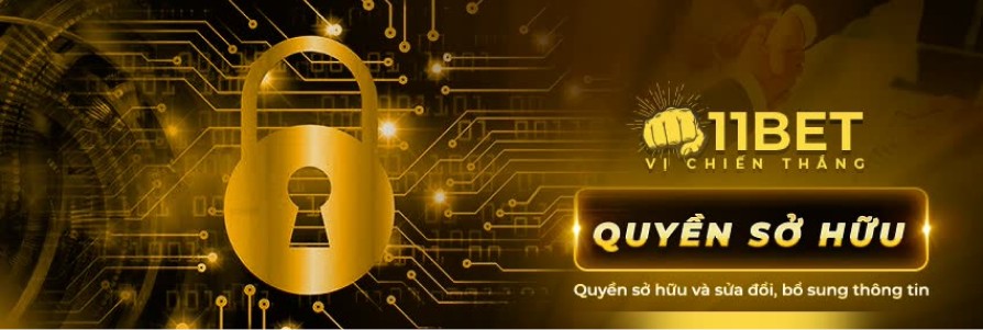Quyền sở hữu và sửa đổi, bổ sung thông tin