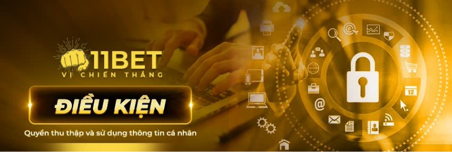 Quyền thu nhập và sử dụng thông tin cá nhân