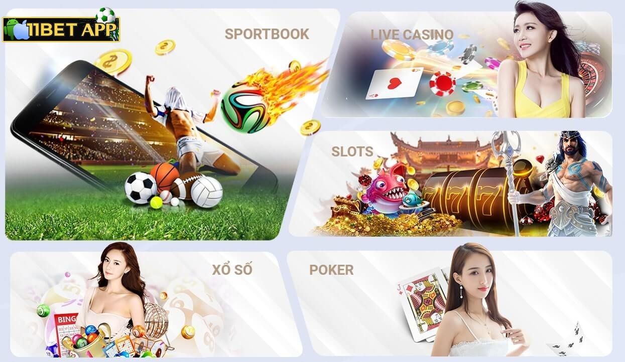 Tập đoàn MARQUEEHOLDINGS LTD thành lập nhà cái W88 hoạt động hợp pháp