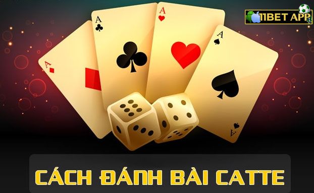 Cách chơi catte hiệu quả từ cao thủ