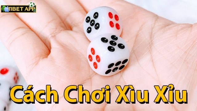 Cách đặt cược cửa tài xỉu trong game xí ngầu 11bet