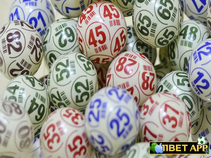 Kinh nghiệm nuôi dàn đề 80 số hiệu quả nhất 
