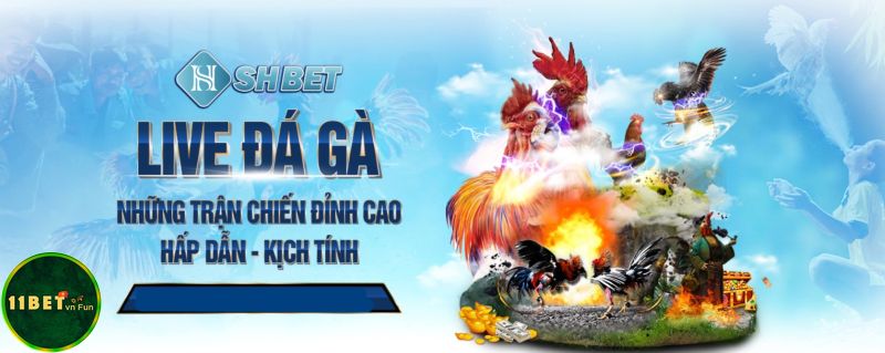 Shbet có đá gà
