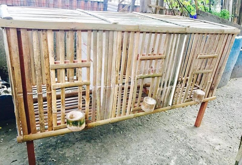 Cách làm chuồng bay cho gà đá bằng tre nứa