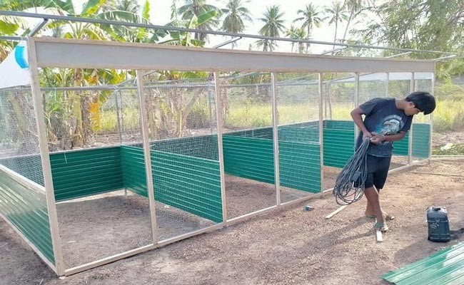 Chọn kích thước làm chuồng bay gà đá hợp lý