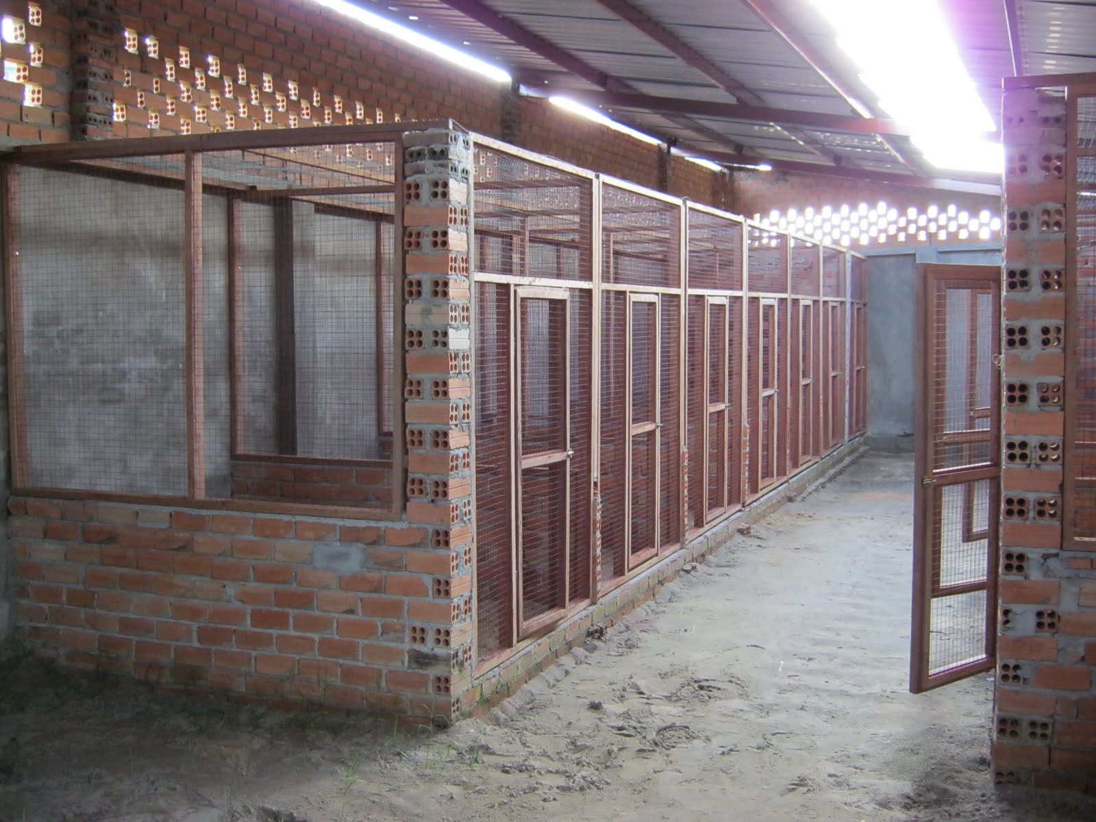 Chuẩn bị trong cách làm chuồng bay cho gà đá