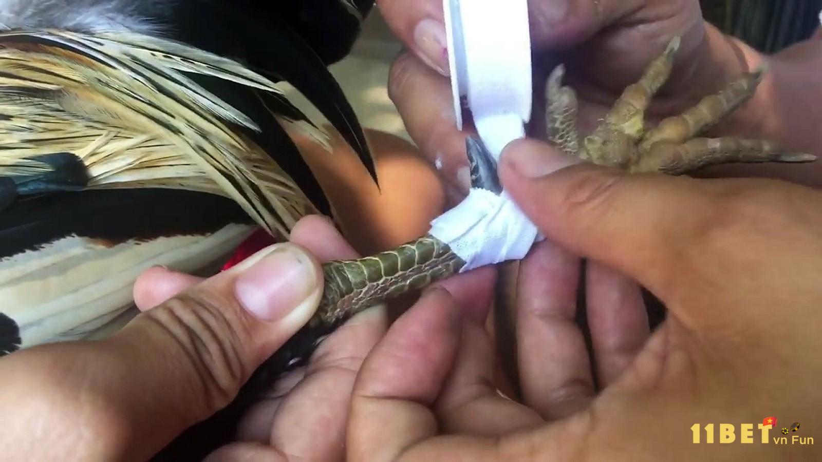 Hướng dẫn cách lên cựa gà tre cực đơn giản mà hiệu quả bạn cần biết