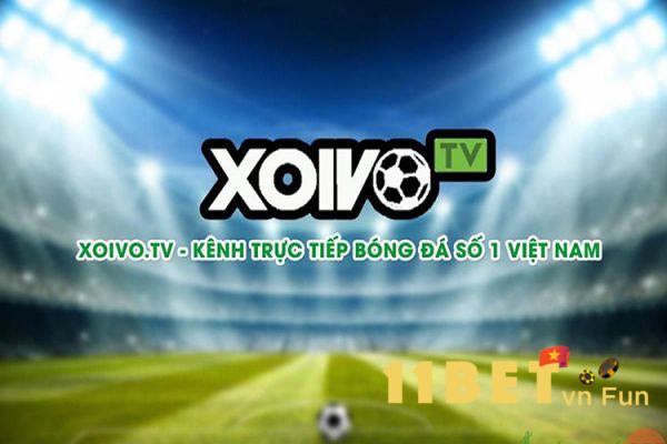 Xoivo TV là gì?