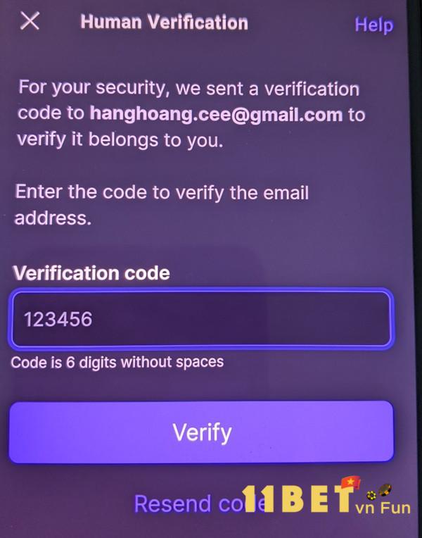 Anh em nhập mã Code được hệ thống gửi về email 